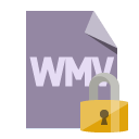 file,format,wmv,lock icon