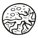astronomy, planet, space, venus svg vector icon