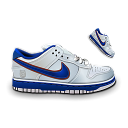 nike,dunk icon