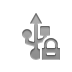 usb,lock icon