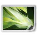 image,pic,picture,photo icon