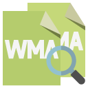 file,format,wma,zoom icon