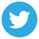 twitter icon