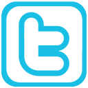 twitter,alt icon