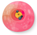 sushi icon