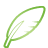 basic, green, quill icon