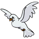 bird,animal icon