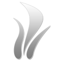24 W icon