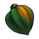 acorn,squash,fruit,vegetable icon