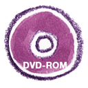 dvdrom, natsu icon