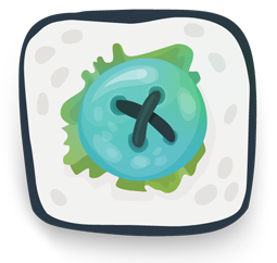 sushi icon
