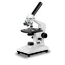 biology, microscope, science icon