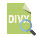 file,format,divx,zoom icon