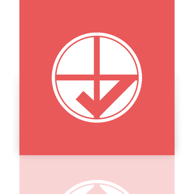 default,program,mirror icon