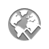 world,checkmark icon