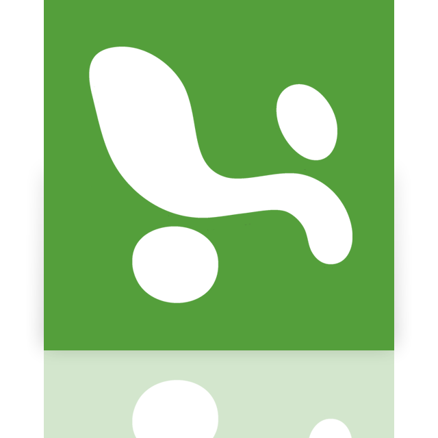 excel, mirror icon