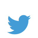 color, original, twitter svg vector icon