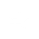 appbar,star,add icon