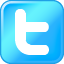 twitter,social network,social,sn icon