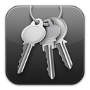 keychain,access icon
