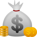 coin icon