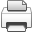 print icon