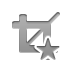 crop,star icon