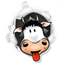 designmoo icon