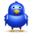 twitter,bird,animal,social network,social,sn icon