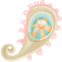 organism, paisley icon