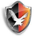protection icon