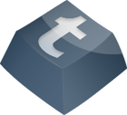 tumblr icon