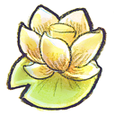 flower, lotus icon