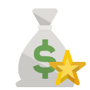 money,bag,star icon
