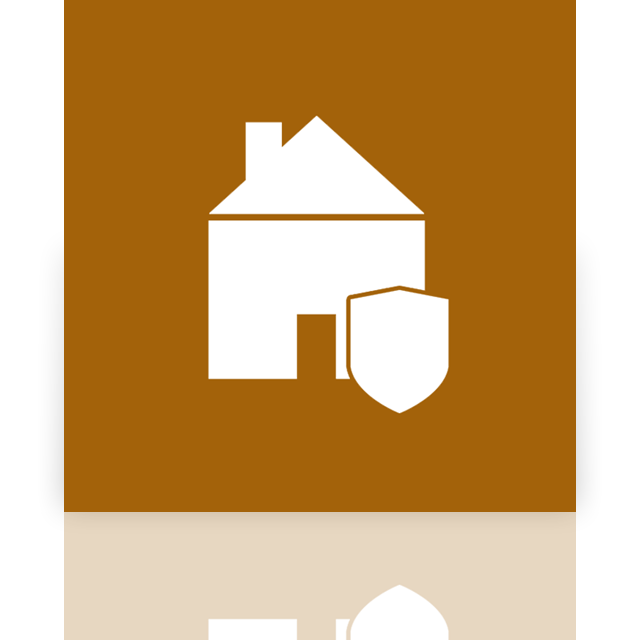 mirror icon