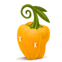 orange, pepper icon