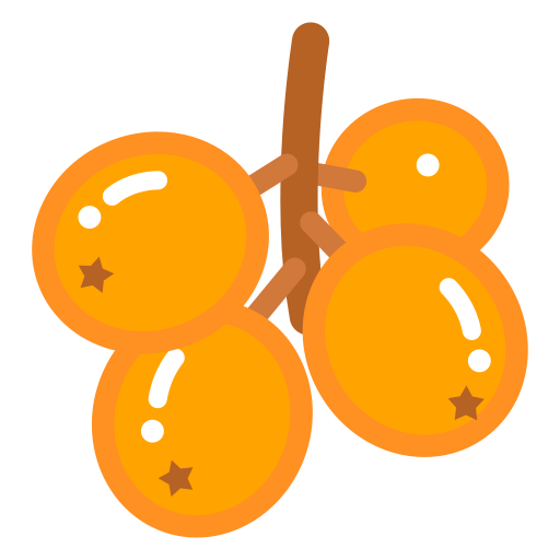 Loquat svg vector icon