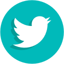 social, social network, twitter, ui svg vector icon