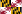 maryland icon