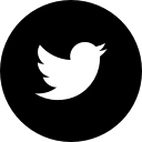media, social, twitter, website svg vector icon