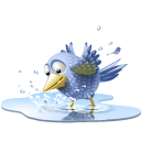 poolbird,bird,pool,tweet,twitter,water,animal,social network,social,sn icon