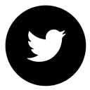 circle, twitter svg vector icon