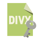 file,format,divx,key icon