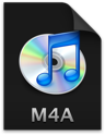ma icon