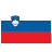 si icon