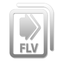 flv icon