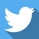 social, twitter svg vector icon
