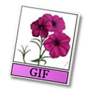 gif icon