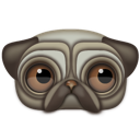 animal icon