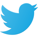 logo, media, social, twitter svg vector icon